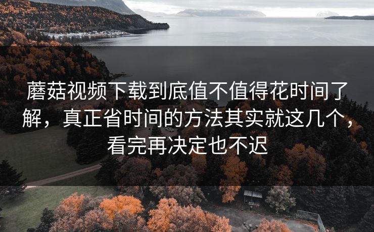 蘑菇视频下载到底值不值得花时间了解，真正省时间的方法其实就这几个，看完再决定也不迟