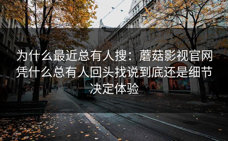 为什么最近总有人搜：蘑菇影视官网凭什么总有人回头找说到底还是细节决定体验
