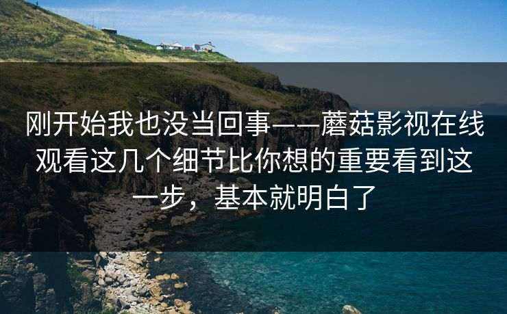 刚开始我也没当回事——蘑菇影视在线观看这几个细节比你想的重要看到这一步，基本就明白了