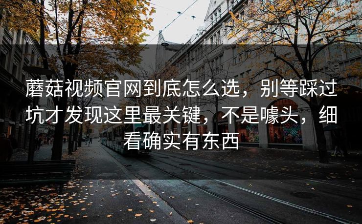 蘑菇视频官网到底怎么选，别等踩过坑才发现这里最关键，不是噱头，细看确实有东西