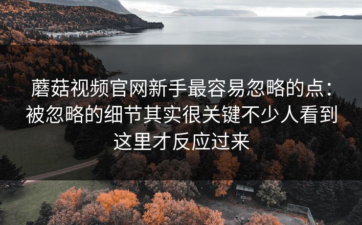 蘑菇视频官网新手最容易忽略的点：被忽略的细节其实很关键不少人看到这里才反应过来