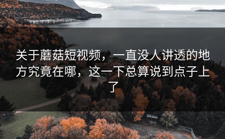 关于蘑菇短视频，一直没人讲透的地方究竟在哪，这一下总算说到点子上了