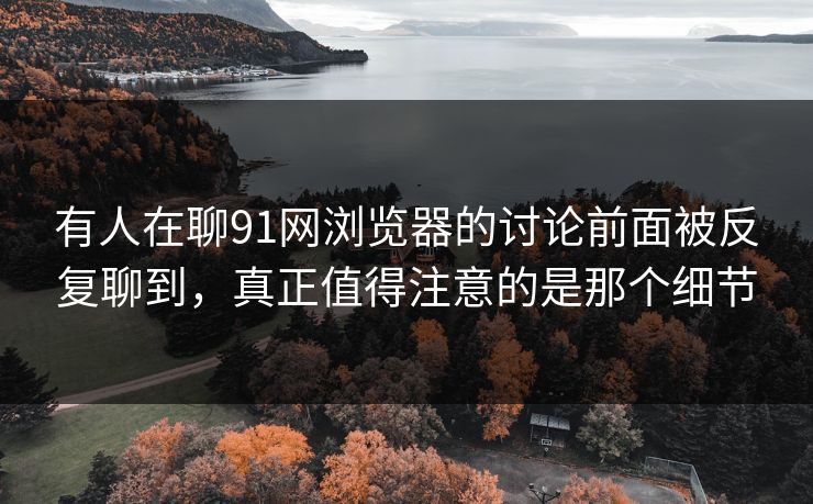 有人在聊91网浏览器的讨论前面被反复聊到，真正值得注意的是那个细节