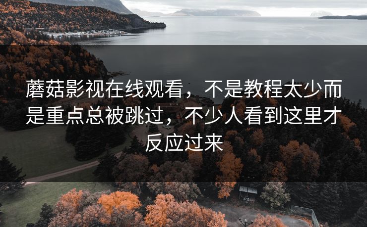 蘑菇影视在线观看，不是教程太少而是重点总被跳过，不少人看到这里才反应过来