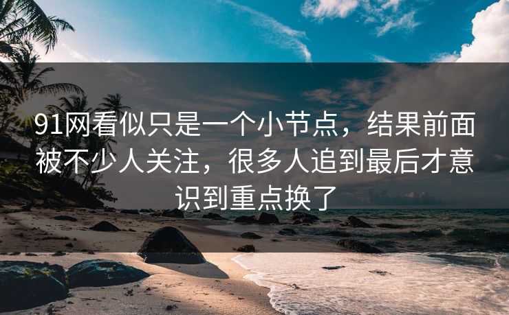 91网看似只是一个小节点，结果前面被不少人关注，很多人追到最后才意识到重点换了