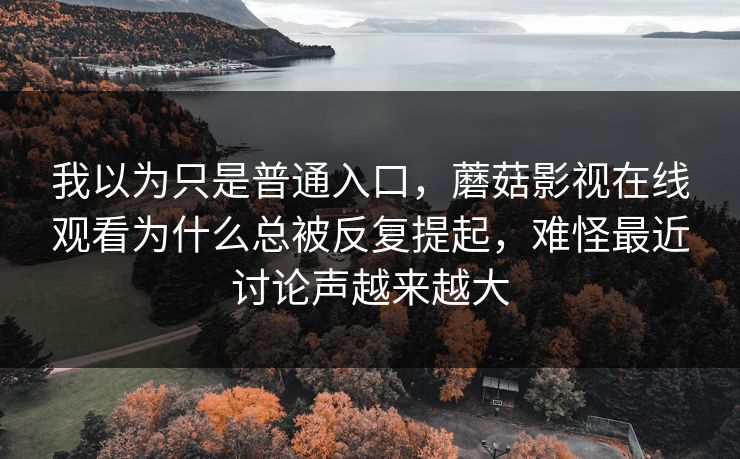 我以为只是普通入口，蘑菇影视在线观看为什么总被反复提起，难怪最近讨论声越来越大