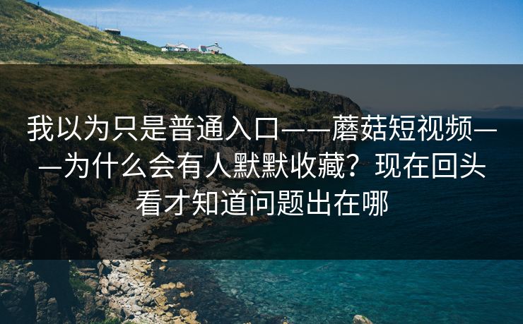我以为只是普通入口——蘑菇短视频——为什么会有人默默收藏？现在回头看才知道问题出在哪