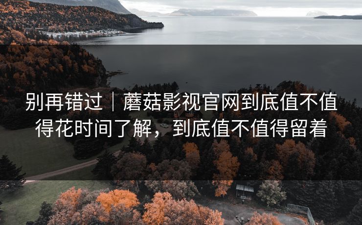 别再错过｜蘑菇影视官网到底值不值得花时间了解，到底值不值得留着