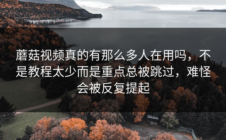 蘑菇视频真的有那么多人在用吗，不是教程太少而是重点总被跳过，难怪会被反复提起