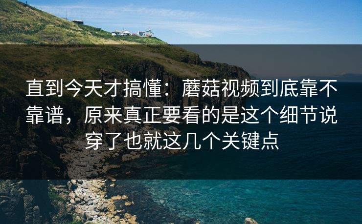 直到今天才搞懂：蘑菇视频到底靠不靠谱，原来真正要看的是这个细节说穿了也就这几个关键点