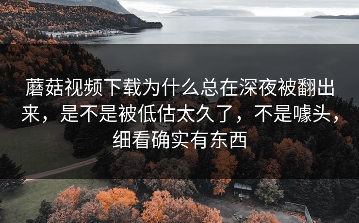 蘑菇视频下载为什么总在深夜被翻出来，是不是被低估太久了，不是噱头，细看确实有东西