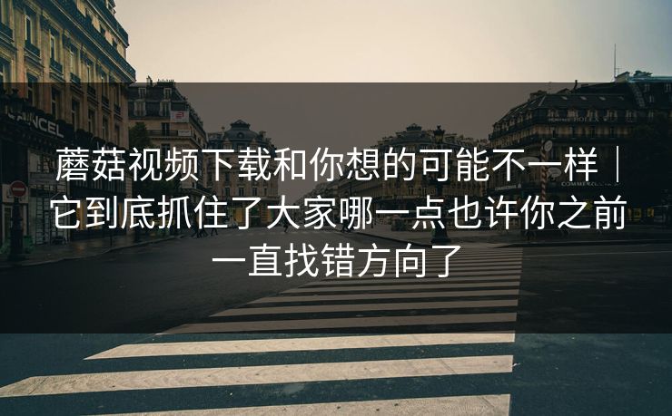 蘑菇视频下载和你想的可能不一样｜它到底抓住了大家哪一点也许你之前一直找错方向了