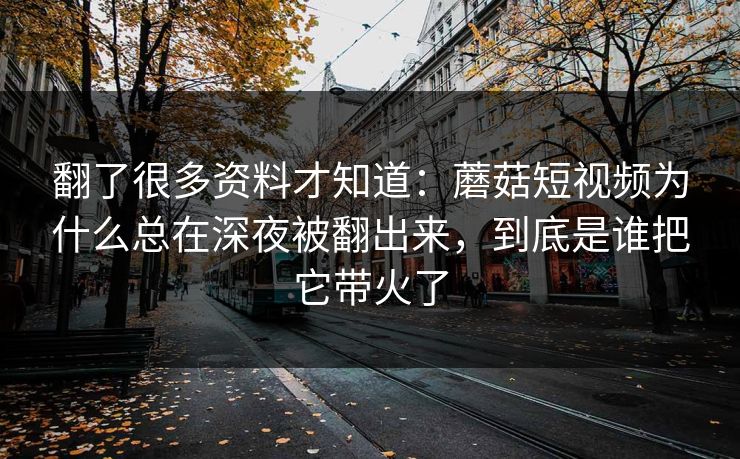 翻了很多资料才知道：蘑菇短视频为什么总在深夜被翻出来，到底是谁把它带火了