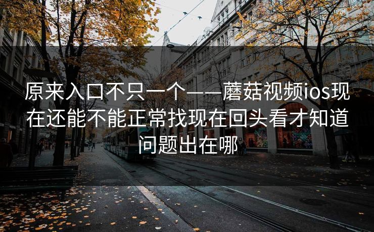 原来入口不只一个——蘑菇视频ios现在还能不能正常找现在回头看才知道问题出在哪